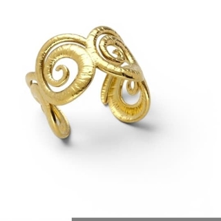 Anillo espirales acero - Imagen 1