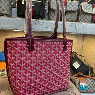 Bolso Goyard mini - Imagen 2