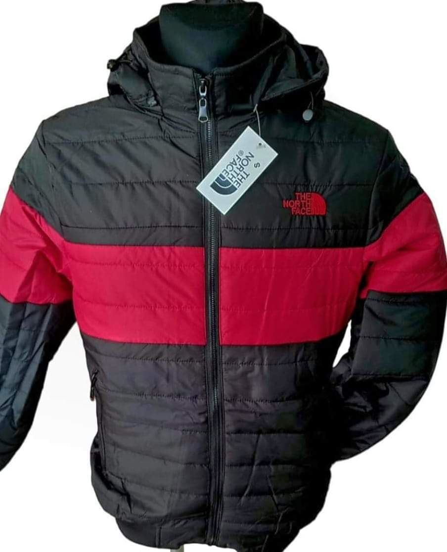 Cazadora North Face - Imagen 2