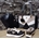 Conjunto zapatillas y bolso Tous - Imagen 1