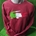 Sudadera Lacoste - Imagen 2