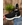 Zapatillas Skechers - Imagen 2